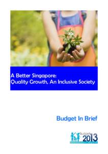 A Better Singapore: Quality Growth, An Inclusive Society Budget In Brief  A Better Singapore