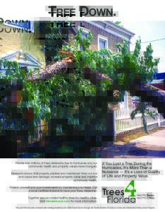 TREE DOWN.  Florida lost millions of trees statewide due to hurricanes and our community health and property values have changed. Research shows that properly planted and maintained trees survive and cause less damage, i