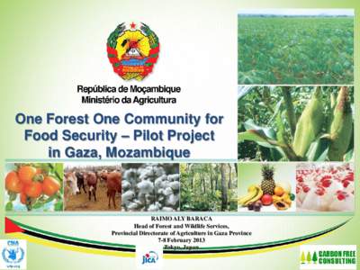 One Forest One Community for Food Security – Pilot Project in Gaza, Mozambique RAIMO ALY BARACA Head of Forest and Wildlife Services,