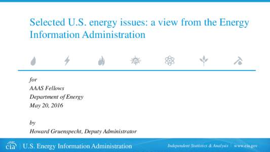 Selected U.S. energy issues: a view from the Energy Information Administration for AAAS Fellows Department of Energy