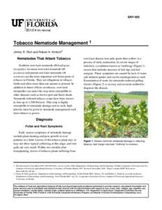 ENY-005  Tobacco Nematode Management 1 Jimmy R. Rich and Robert A. Kinloch2  Nematodes That Attack Tobacco