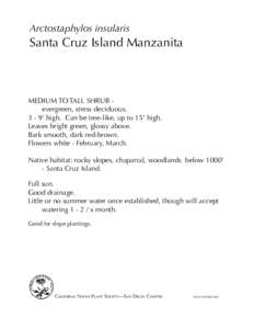 Arctostaphylos insularis  Santa Cruz Island Manzanita Medium to tall shrub 	 evergreen, stress deciduous.