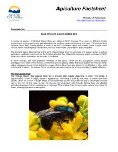 Apiculture Factsheet Ministry of Agriculture http://www.al.gov.bc.ca/apiculture Factsheet #506 BLUE ORCHARD MASON (OSMIA) BEE