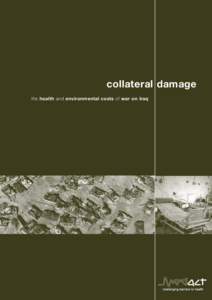 collateral damage the health and environmental costs of war on Iraq collateral damage  1