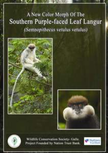 1  A new colour morph of Southern purple faced leaf langur (Semnopithecus vetulus vetulus) from the rain forests of southwestern Sri Lanka