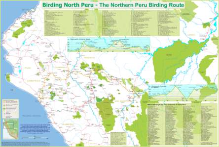 Rí  Birding North Peru - The Northern Peru Birding Route o