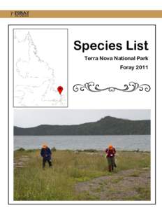 Species List Terra Nova National Park Foray 2011 Species List, Terra Nova National Park, 2011 Amanita bisporigera