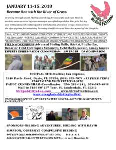 JANUARY	11-15,	2018																																																											 Become	One	with	the	River	of	Grass. Journey through south Florida searching for beautiful and rare birds in