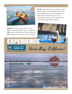 KAYAK in Morro Bay’s national estuary amongst amazing wildlife in the protected waters of the bay. Our gentle year-round climate offers the ideal setting for kayakers to launch from multiple public access points in Tid