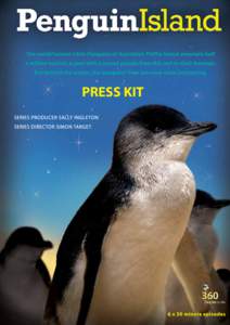 PenguinIsland Press Kit  PRESS KIT 1