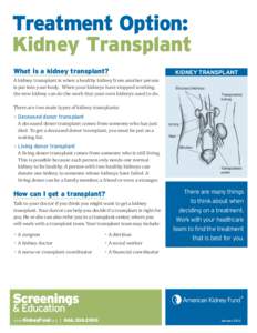 Treatment Option: Kidney Transplant What is a kidney transplant? KIDNEY TRANSPLANT