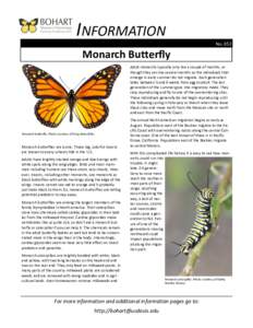INFORMATION No. 052 Monarch Butterfly Adult monarchs typically only live a couple of months, although they can live several months so the individuals that emerge in early summer do not migrate. Each generation