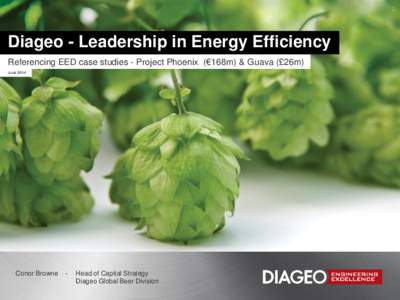﻿  Diageo - Leadership in Energy Efficiency ﻿ Referencing EED case studies - Project Phoenix (€168m) & Guava (£26m) ﻿