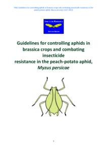 IRAG Guidelines for controlling aphids in brassica crops and combating insecticide resistance in the peach-potato aphid, Myzus persicae [JULY[removed]Guidelines for controlling aphids in brassica crops and combating insect