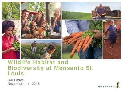 Wildlife Habitat and Biodiversity at Monsanto St. Louis Joe Eades November 11, 2015