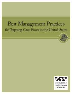 Best Management Practices for Trapping Gray Foxes in the United States Best Management Practices (BMPs) are carefully researched recommendations designed to address animal welfare and increase trappers’ efficiency and