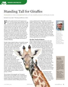 Standing Tall for Giraffes Research and Conservation of an Overlooked African Icon By Derek E. Lee, Julian T. Fennessy, and Monica L. Bond F
