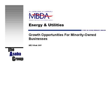 Energy & Utilities Growth Opportunities For Minority-Owned Businesses MED Week 2001  This Report Was Written And Produced For: