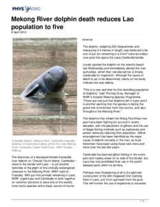 Mekong River dolphin death reduces Lao population to five