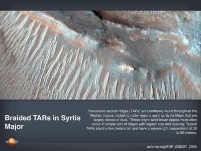 Braided TARs in Syrtis Major Transverse aeolian ridges (TARs) are commonly found throughout the Martian tropics, including rocky regions such as Syrtis Major that are largely devoid of dust. These bright wind-blown rippl