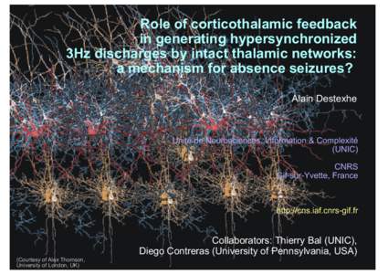 Role of corticothalamic feedback in generating hypersynchronized 3Hz discharges by intact thalamic networks: a mechanism for absence seizures? Alain Destexhe