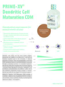 PRIME-XV ­Dendritic Cell M ­ aturation CDM ®