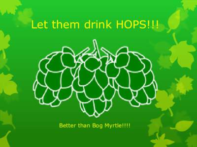 Let them drink HOPS!!!  Better than Bog Myrtle!!!! So you want to learn how to grow hops then comrade?
