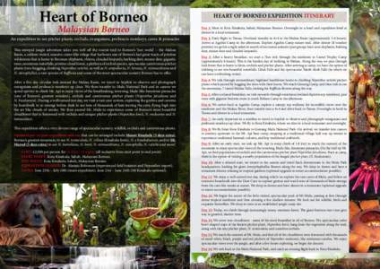 Heart of Borneo Malaysian Borneo An expedition to see pitcher plants, orchids, orangutans, proboscis monkeys, caves & pinnacles This intrepid jungle adventure takes you well off the tourist trail to Borneo’s ‘lost wo