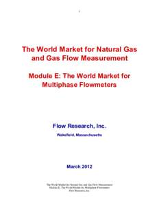 i  The World Market for Natural Gas and Gas Flow Measurement Module E: The World Market for Multiphase Flowmeters