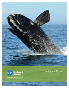2012 Annual Report  Dear Friends, The New England Aquarium capped five years of success in 2012 by completing our $42.5 million Mission Blue Campaign, exceeding our fundraising goal by nearly $500,000. This achievement 