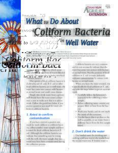 Water / Biology / Natural resources / Texas A&M University System / Bacteria / Enterobacteria / Fecal coliform / Feces / Texas A&M AgriLife / Drinking water / Coliform bacteria / Groundwater pollution