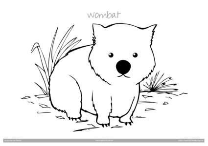 Wombat  Art by Kat McGowan www.ryebuck.com.au
