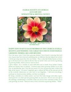 DAHLIA SOCIETY OF GEORGIA JANUARY 2015 NEWSLETTER & MEETING NOTICE RAYANN’S PEACH S-DB OR/RD. GROWS WELL IN OUR SOUTHERN HEAT.