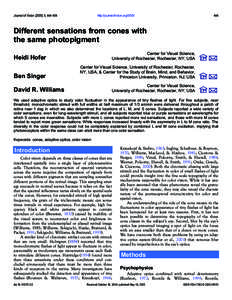 Journal of Vision, http://journalofvision.org