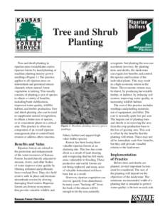 MF2748 Riparian Buffers Best Management Practices: Tree and Shrub Planting