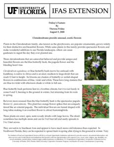 Friday’s Feature By Theresa Friday August 9, 2008 Clerodendrums provide unusual, exotic flowers Plants in the Clerodendrum family, also known as the glorybowers, are popular ornamentals, grown widely