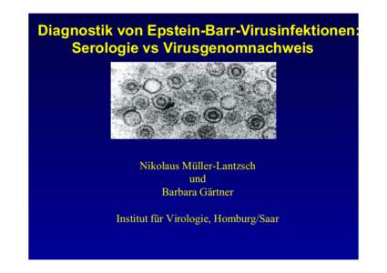 Diagnostik von Epstein-Barr-Virusinfektionen: Serologie vs Virusgenomnachweis Nikolaus Müller-Lantzsch und Barbara Gärtner