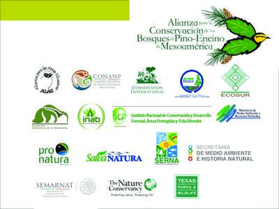 Distribución de Dendroica chrysoparia en la Ecoregion de Pino-Encino de Centroamérica La Alianza se formó en 2003 •  Durante el Congreso SMBC en