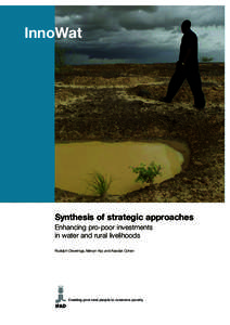 InnoWat  Synthesis of strategic approaches Enhancing pro-poor investments in water and rural livelihoods Rudolph Cleveringa, Melvyn Kay and Alasdair Cohen