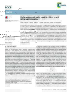 Early regimes of water capillary flow in slit silica nanochannels