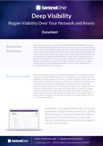 Deep Visibility Regain Visibility Over Your Network and Assets Datasheet Executive Summary