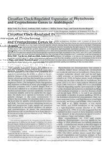 Circadian Clock-Regulated Expression of Phytochrome and Cryptochrome Genes in Arabidopsis1 Re´ka To´th, E´va Kevei, Anthony Hall, Andrew J. Millar, Ferenc Nagy, and La´szlo´ Kozma-Bogna´r* Institute of Plant Biolog
