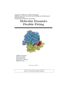 University of Illinois at Urbana-Champaign NIH Resource for Macromolecular Modeling and Bioinformatics Beckman Institute Computational Biophysics Workshop  Molecular Dynamics