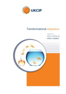 Transformational adaptation what it is, why it matters & what is needed  UK Climate Impacts Programme (UKCIP)