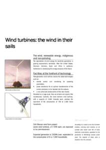 Wind turbines: the wind in their sails The wind, renewable energy, indigenous and non-polluting The exploitation of wind energy for electricity generation is growing exponentially worldwide. After the United States,