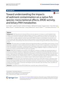 Toward understanding the impacts of sediment contamination on a native fish species: transcriptional effects, EROD activity, and biliary PAH metabolites