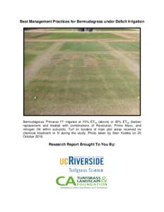 Best Management Practices for Bermudagrass under Deficit Irrigation  Bermudagrass ‘Princess 77’ irrigated at 70% ETos (above) or 40% ETos (below) replacement and treated with combinations of Revolution, Primo Maxx, a