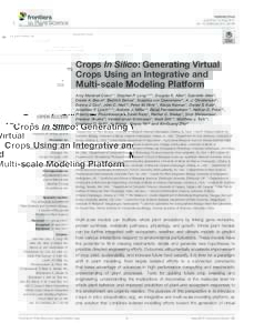 Crops In Silico: Generating Virtual Crops Using an Integrative and Multi-scale Modeling Platform