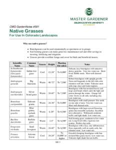 CMG GardenNotes #581  Native Grasses For Use In Colorado Landscapes Why use native grasses?  Bunchgrasses can be used ornamentally as specimens or in groups.