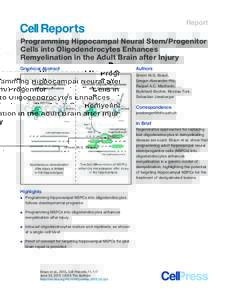 Report  Programming Hippocampal Neural Stem/Progenitor Cells into Oligodendrocytes Enhances Remyelination in the Adult Brain after Injury Graphical Abstract